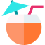 Coconut drink icon 64x64