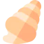 Conch アイコン 64x64
