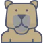 Bear icon 64x64