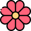 Flower icon 64x64