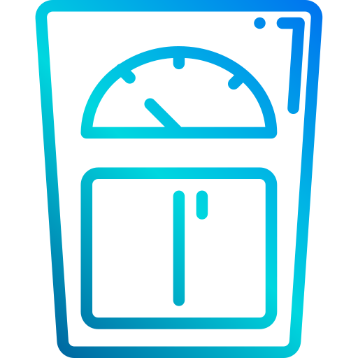 Scale icon