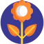 Flower icon 64x64