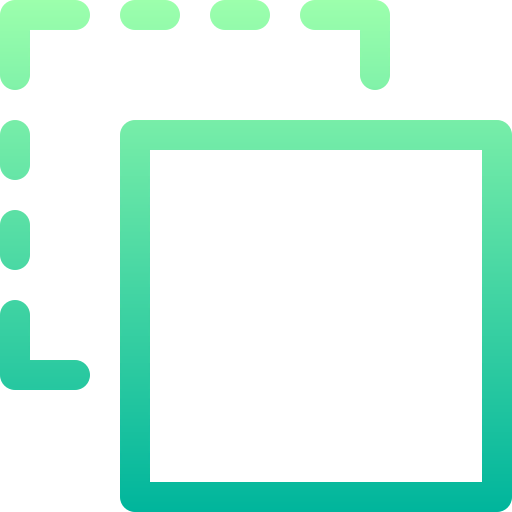 Duplicate icon
