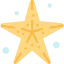 Starfish icon 64x64