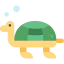 Turtle icon 64x64