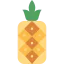Pineapple Symbol 64x64