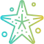 Starfish icon 64x64