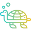 Turtle icon 64x64