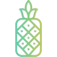 Pineapple Symbol 64x64