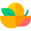 Pamela hat icon 64x64