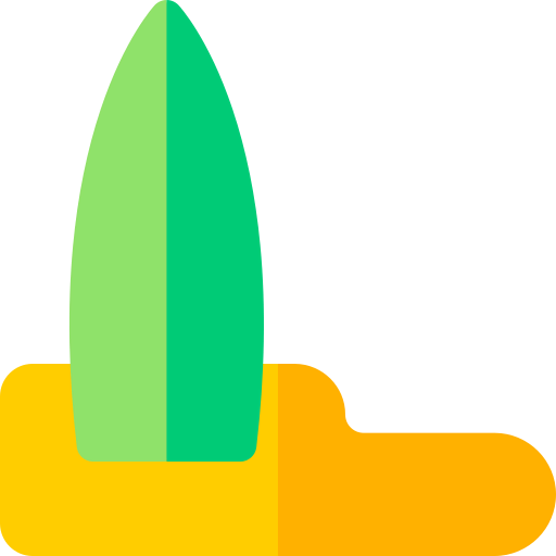 Surfboard icon