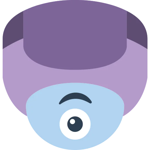 Security camera icon