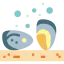 Oyster icon 64x64