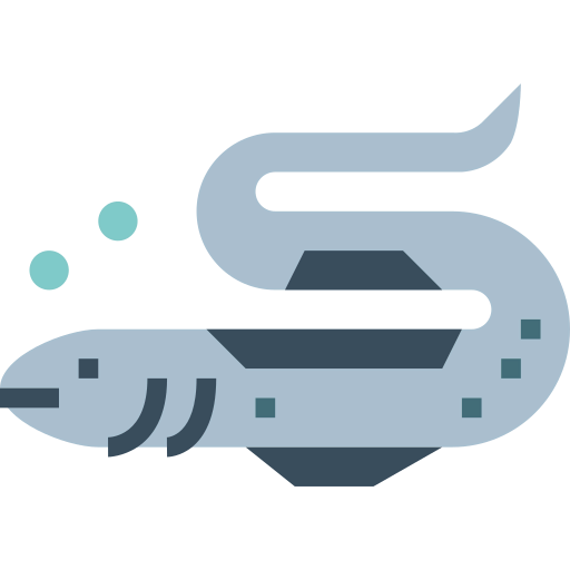 Eel icon