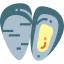 Mussel icon 64x64