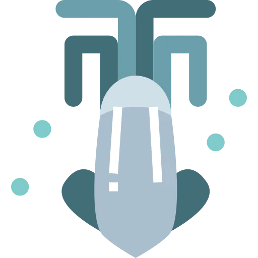 Squid icon