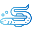 Eel icon 64x64