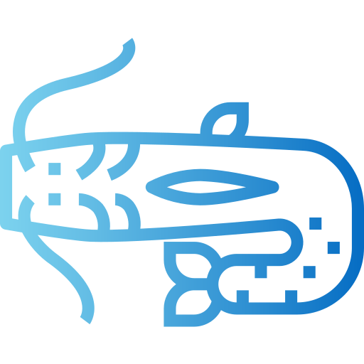 Catfish icon