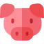 Pork icon 64x64