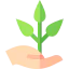Sprout icon 64x64