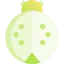 Ladybug 图标 64x64