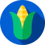 Corn icon 64x64