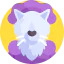 Wolf icon 64x64