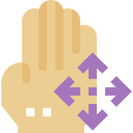 Move icon