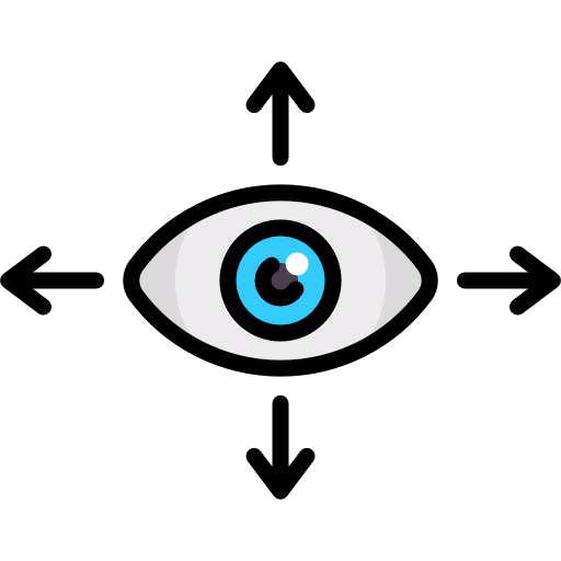 Vision icon