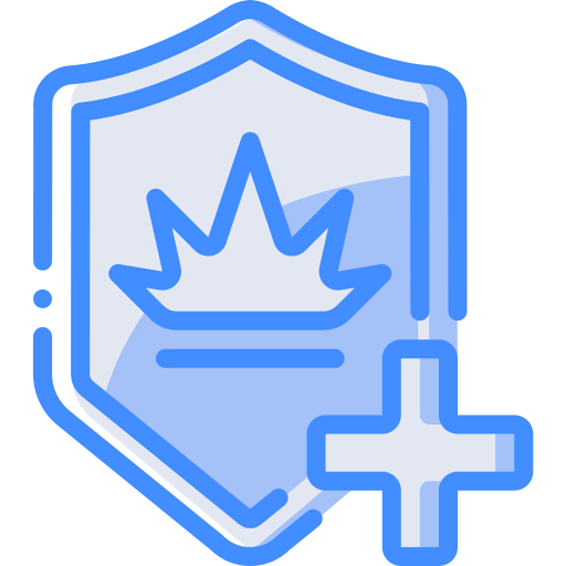 Shield icon