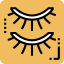 Eyelashes icon 64x64