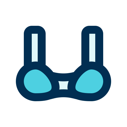 Bra icon