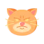 Cat icon 64x64