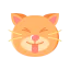 Cat icon 64x64
