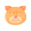 Cat icon 64x64