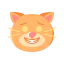 Cat icon 64x64