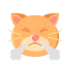 Cat icon 64x64