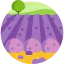 Lavender field Ikona 64x64