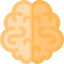 Brain icon 64x64