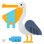Pelican icon 64x64