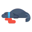 Seal icône 64x64