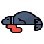 Seal icône 64x64
