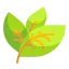 Leaf icon 64x64