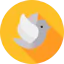 Dove icon 64x64
