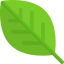Leaf icon 64x64