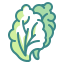 Lettuce icon 64x64