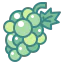 Grapes icon 64x64