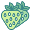 Strawberry icon 64x64