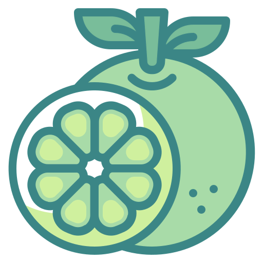 Orange icon