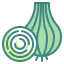 Onion icon 64x64